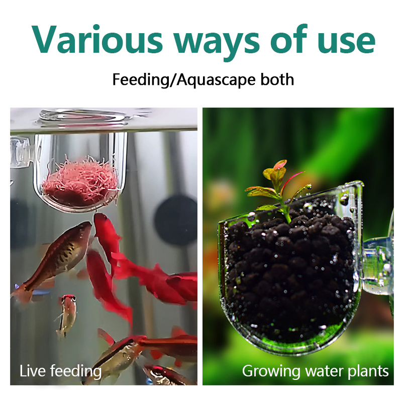 Aquarium Decoratie Plant Cup P - Aquarium Plant Utensils recensie en prijs