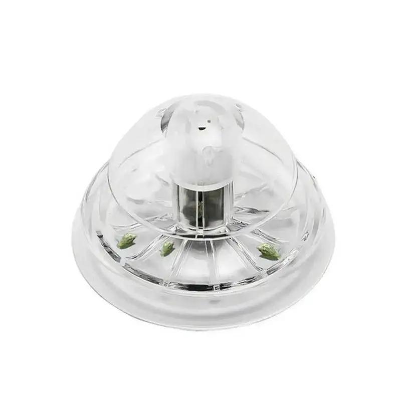 2026 Nieuwe 6/8CM Transparante - Planted Aquarium Tools recensie en prijs