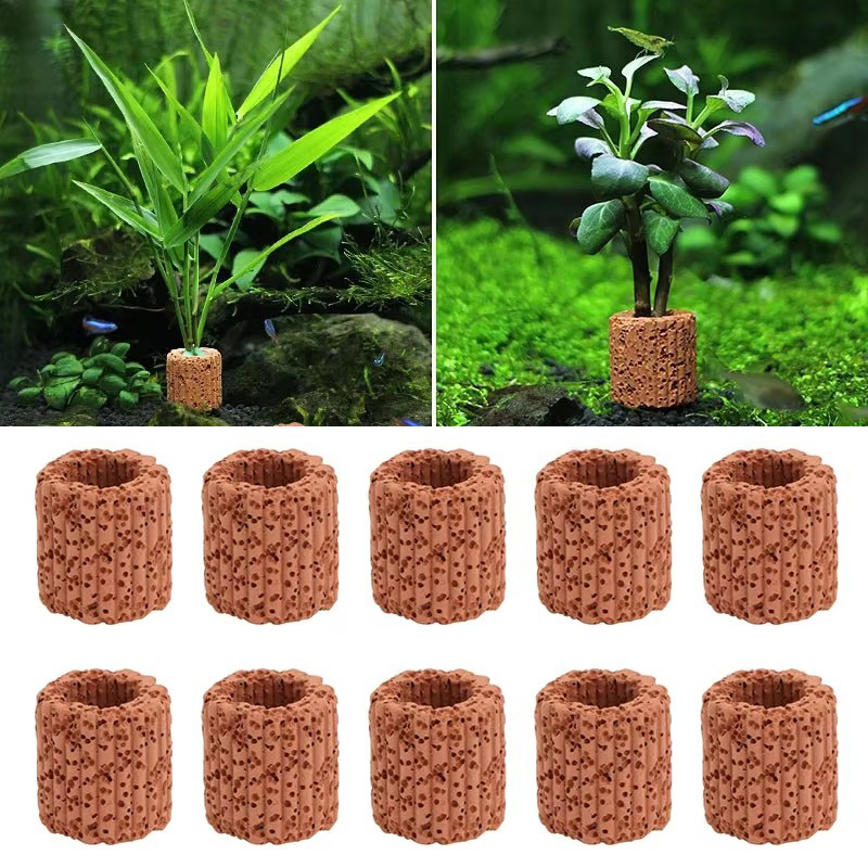 Aquatische Plant Vaste Ring vo - Aquarium Plant Utensils recensie en prijs