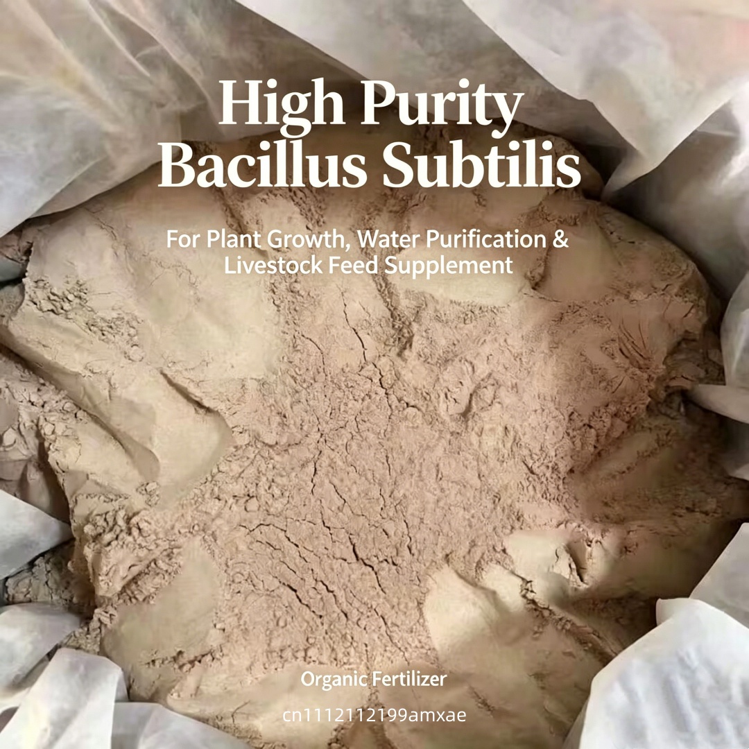 Hoogactief Bacillus Subtilis p - Aquarium Plant Root Fertilizer recensie en prijs