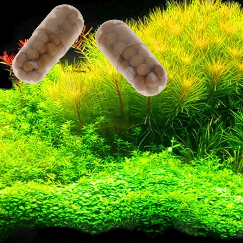 QX2E Aquarium Levend Plant Mes - Aquarium Plant Root Fertilizer recensie en prijs