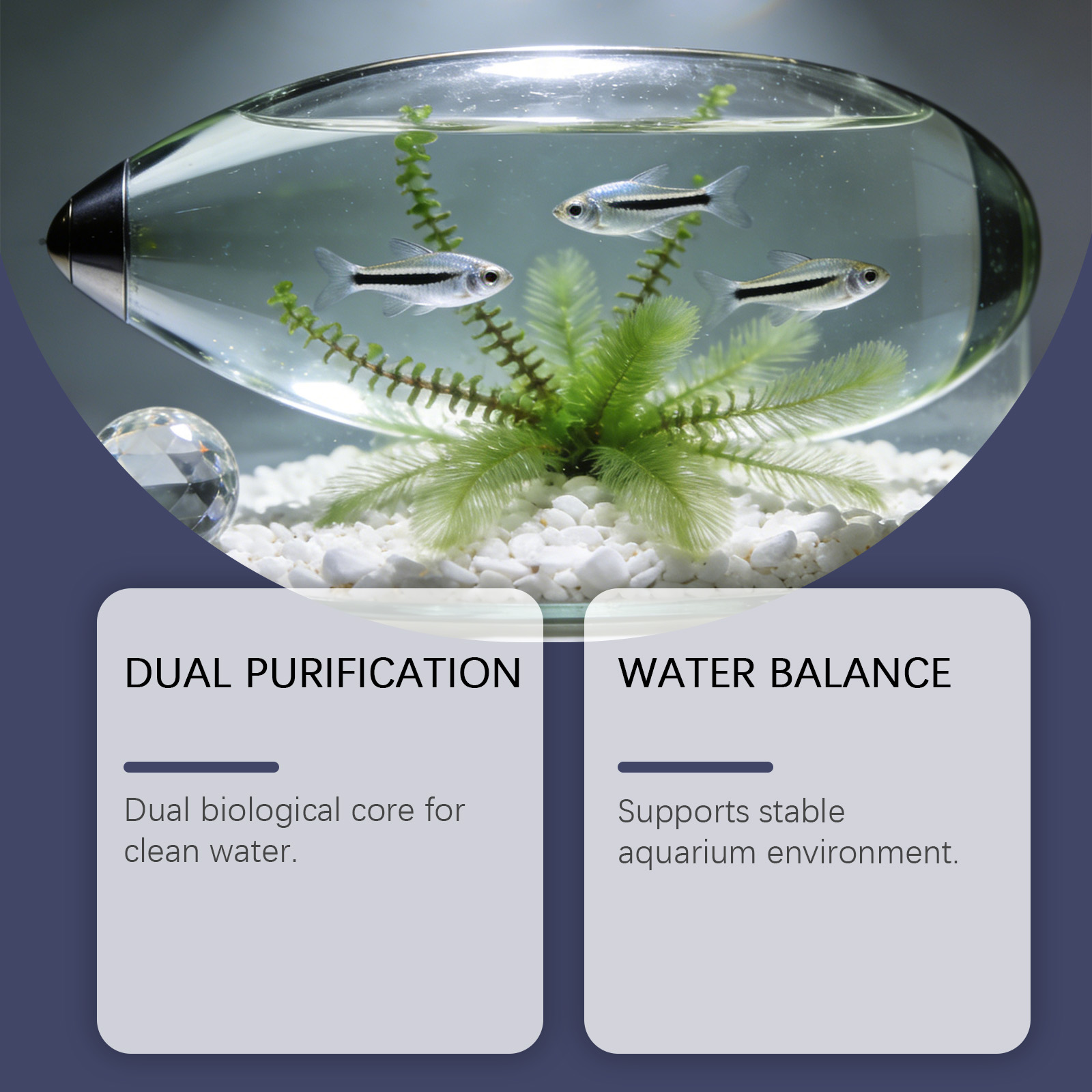 Algenverwijderingstabletten vo - Planted Aquarium Cloudy Water recensie en prijs