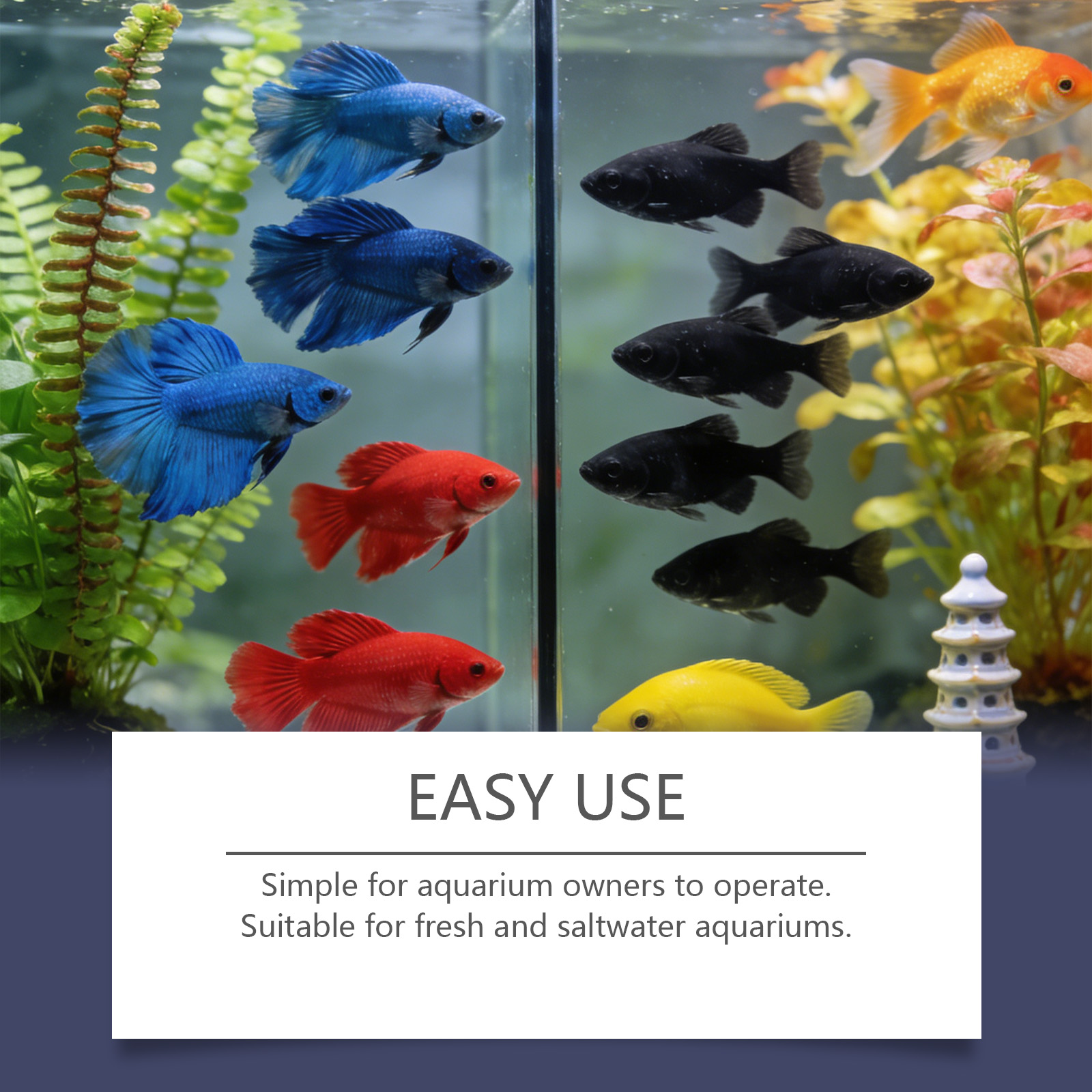 Algenverwijderingstabletten vo - Planted Aquarium Cloudy Water recensie en prijs
